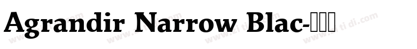 Agrandir Narrow Blac字体转换